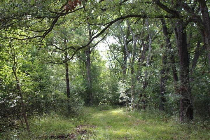 tbd Walker Loop And Burnett Alley - Photo 1