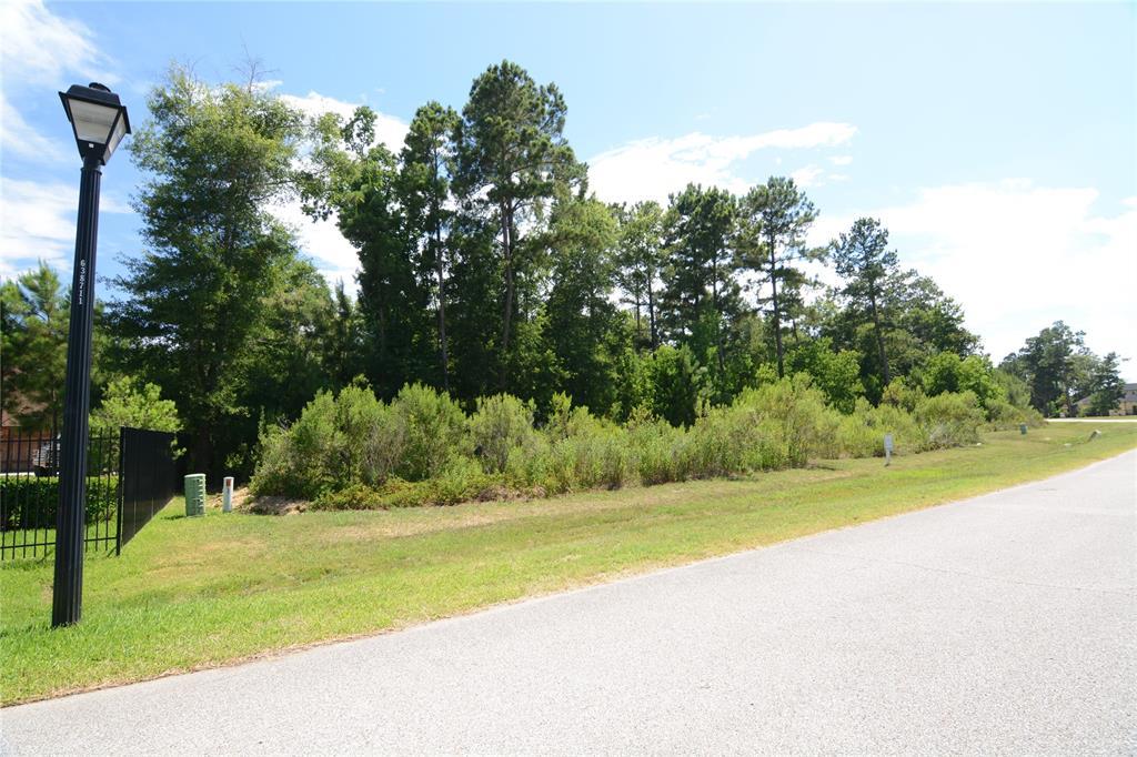 4914 Ontonagon Way - Photo 1