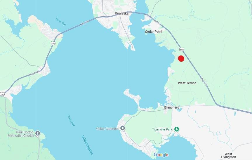 TBD Gray Fox - Photo 1