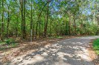 00 County Road 360 Moss Forest Drive - Photo 1