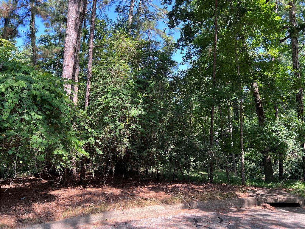1924 Foxbriar Drive - Photo 1