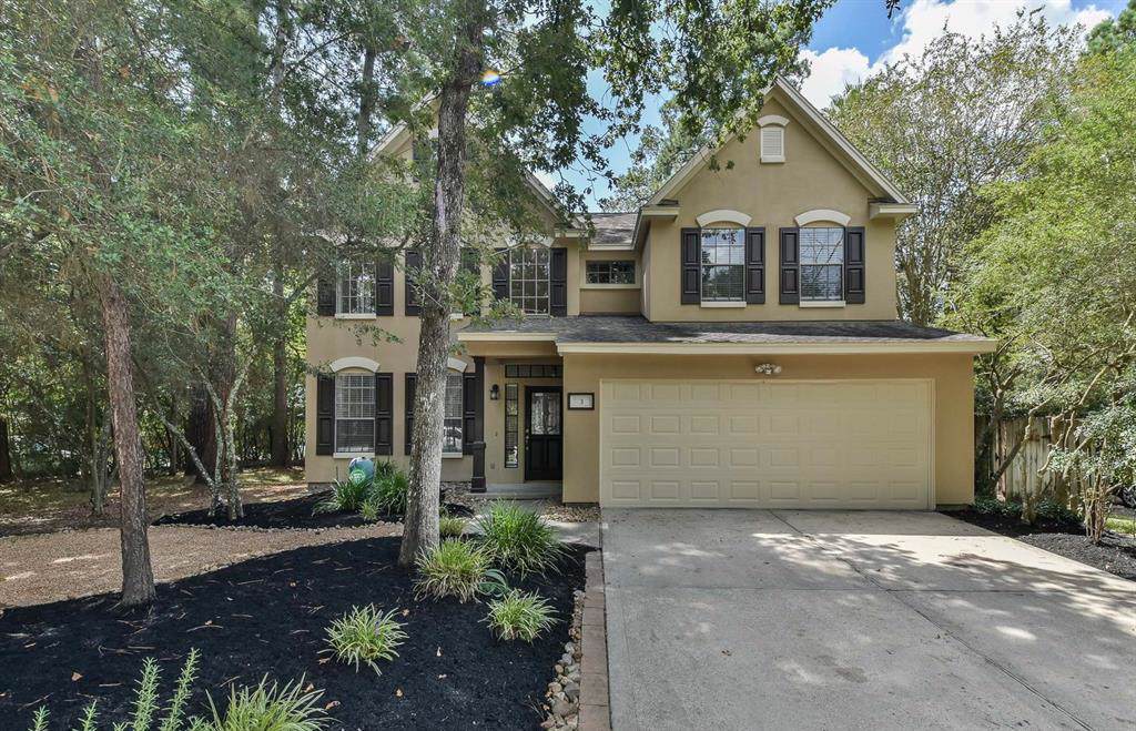 3 Tender Violet Place - Photo 1