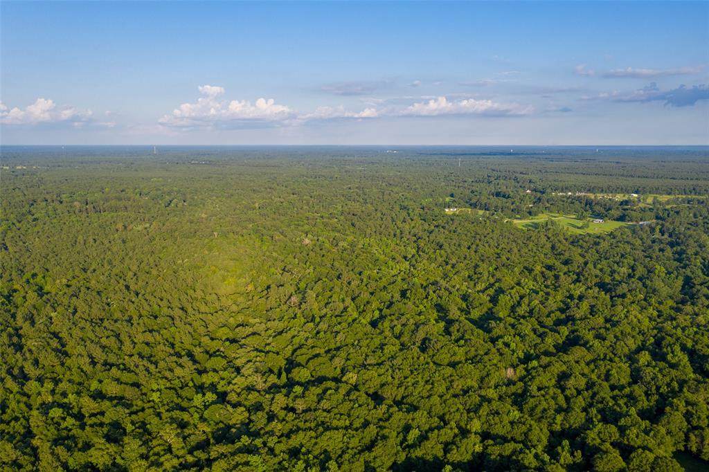 000 West Hwy 59 /North Fm 2090 - Photo 1