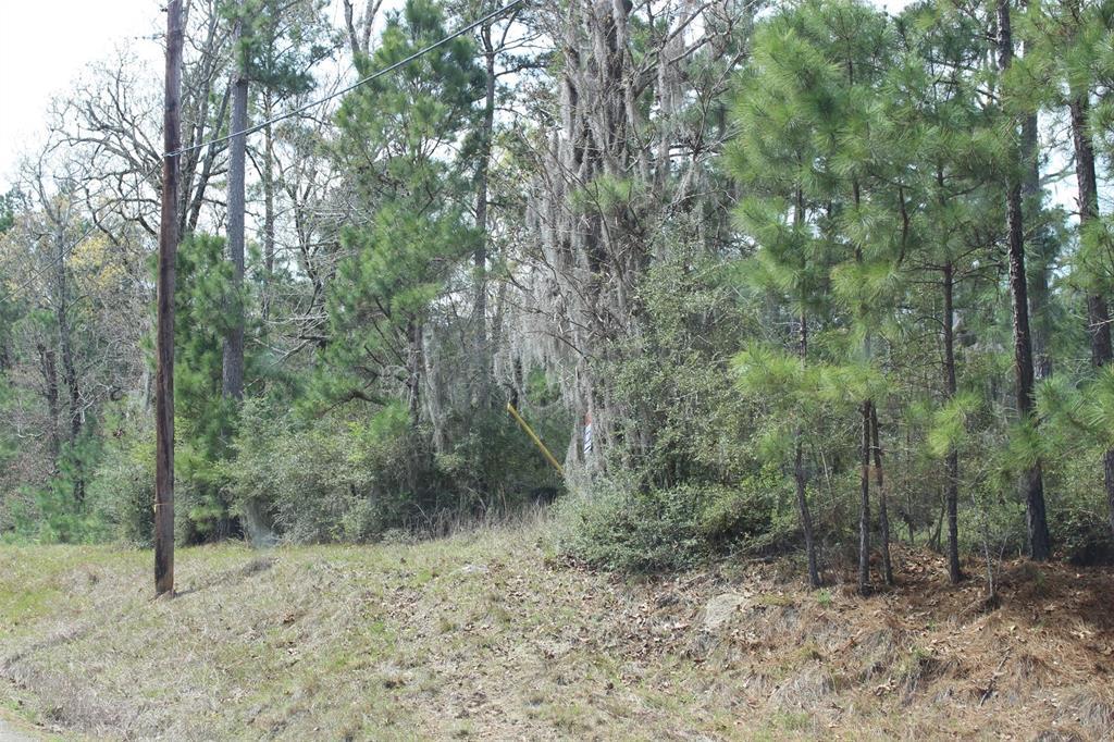 17 Creeklake Drive - Photo 1