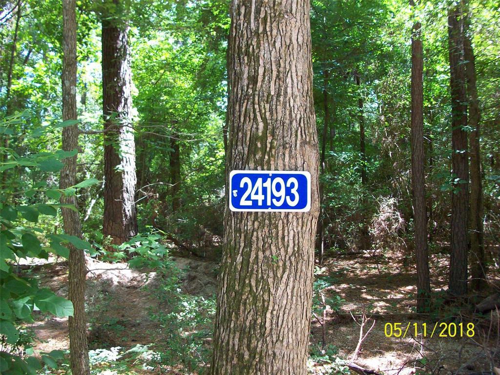 24193 Live Oak - Photo 1