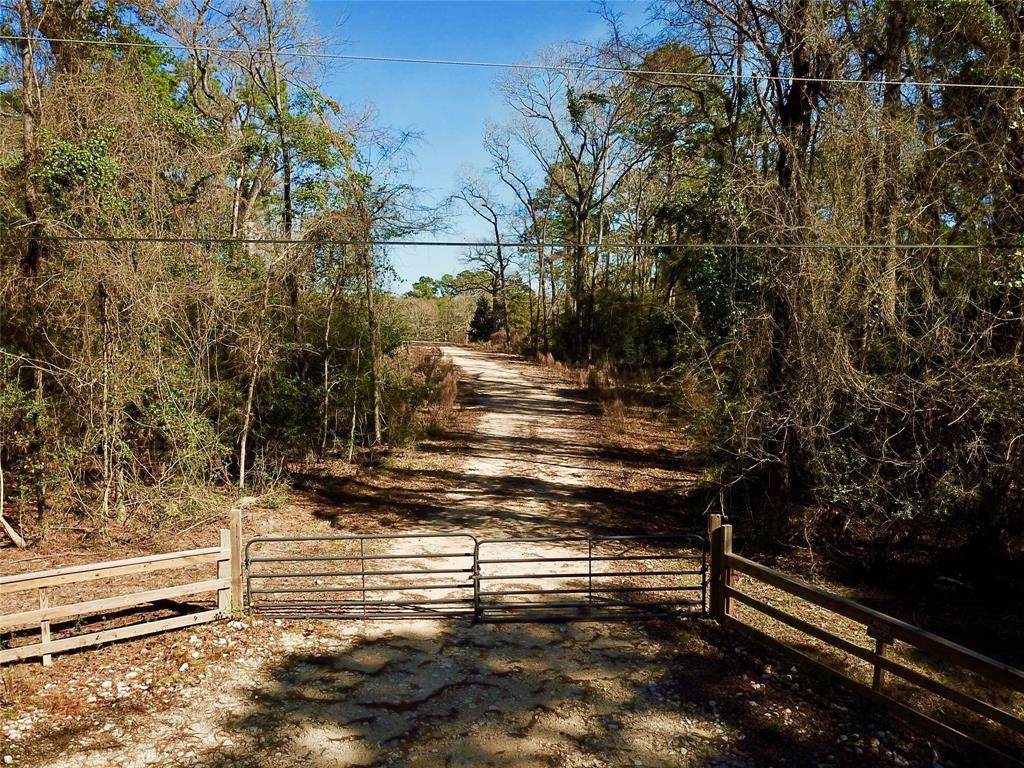 965 Pine Lake Road - Photo 1