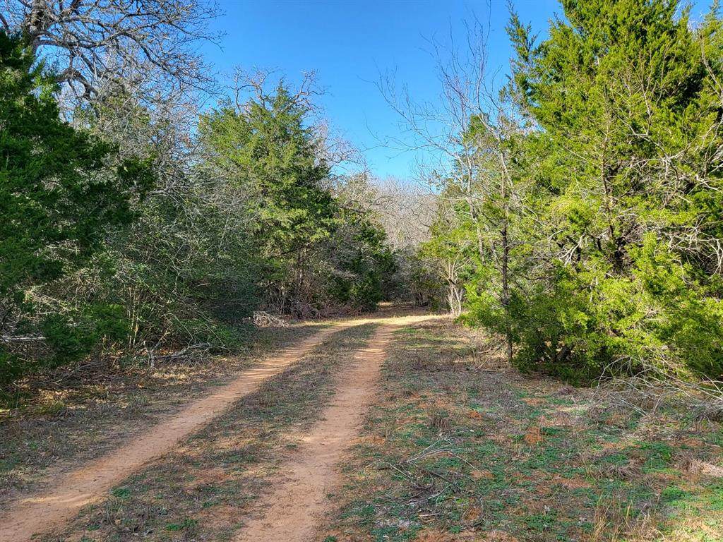 3300 Hunt Lane - Photo 1