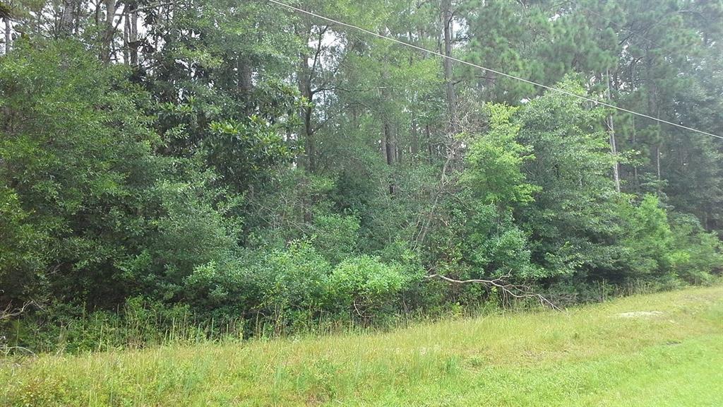 TBD Wildwood Drive - Photo 1