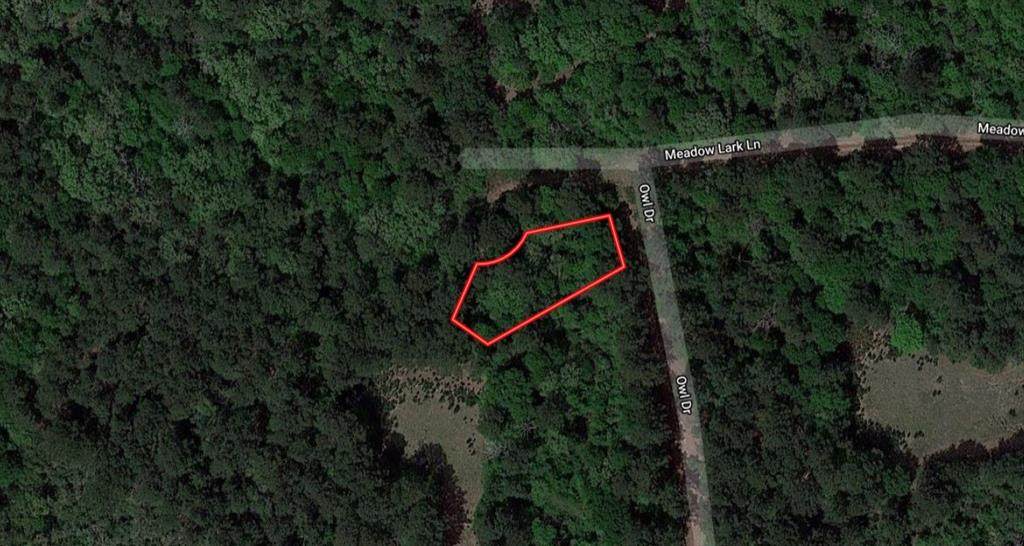0 Owl Drive - Photo 1