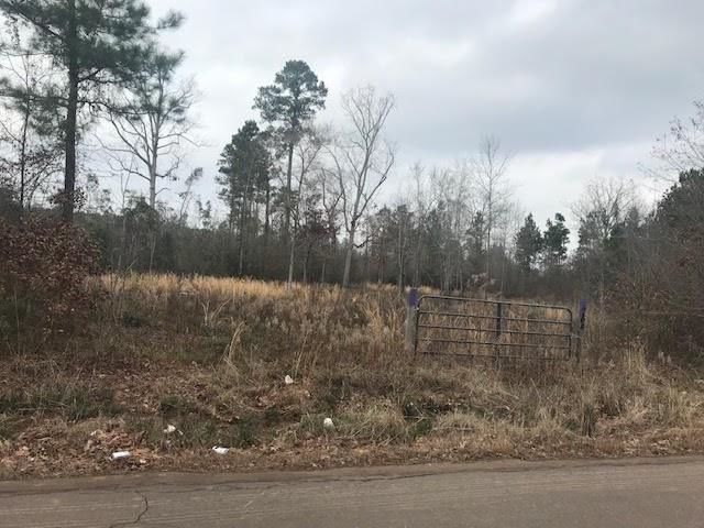 764 County Road 560 - Photo 1