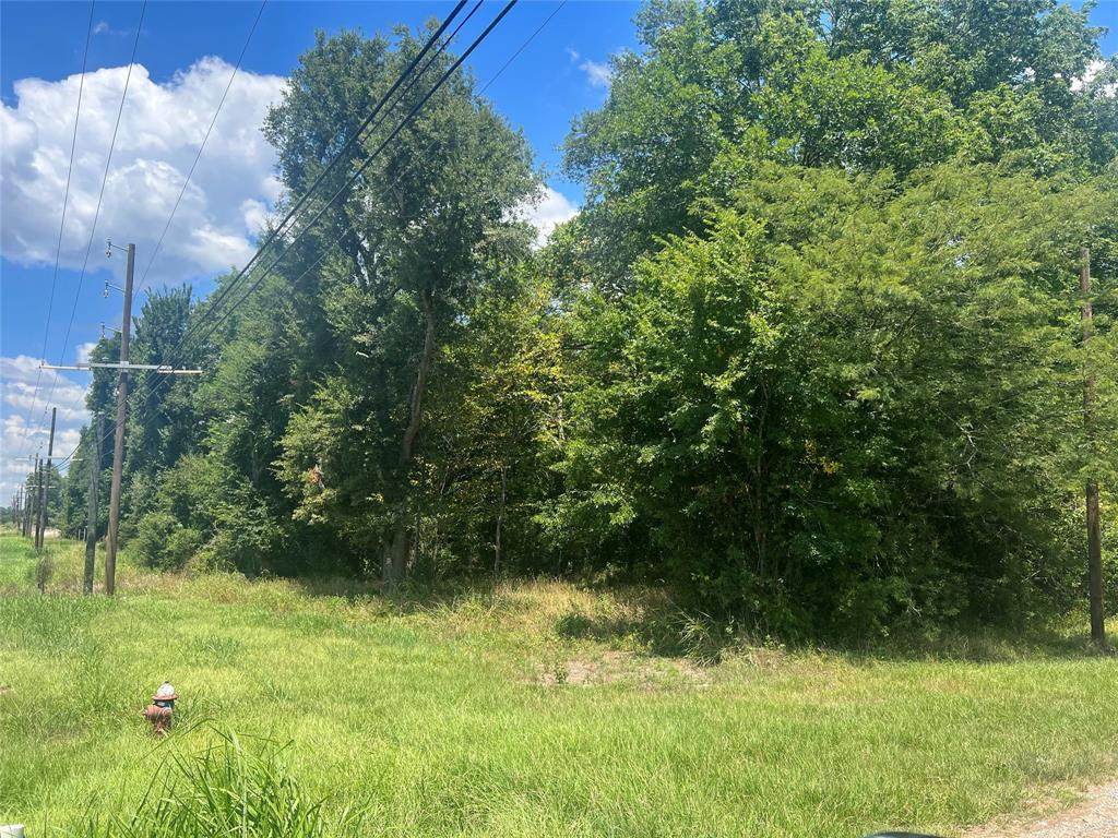 120 Timber Creek Road - Photo 1