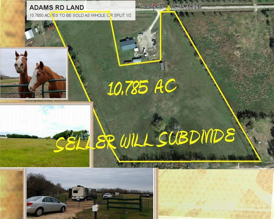 145 Adams Road - Photo 1