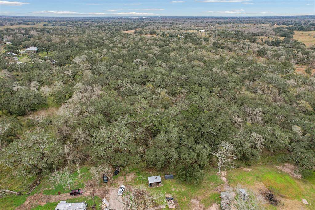 TBD Live Oak - Photo 1