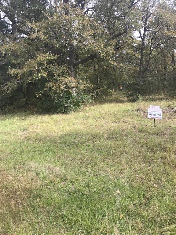 204 Hadley Creek Bend - Photo 1