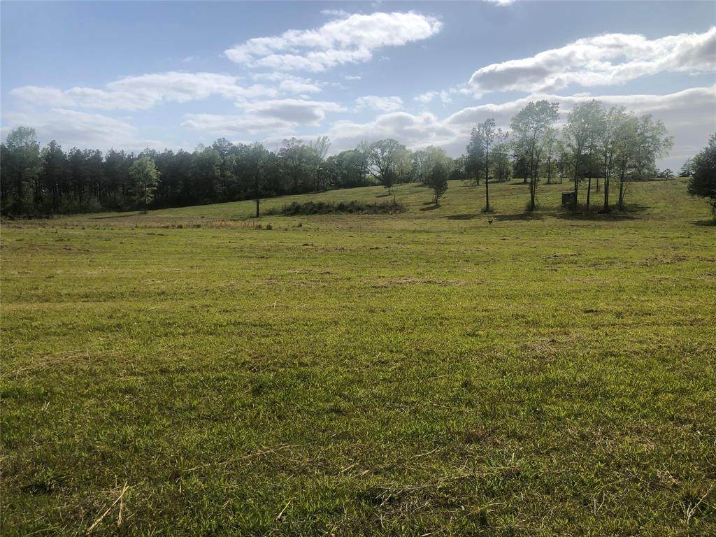 0 Cr 3200 - Photo 1