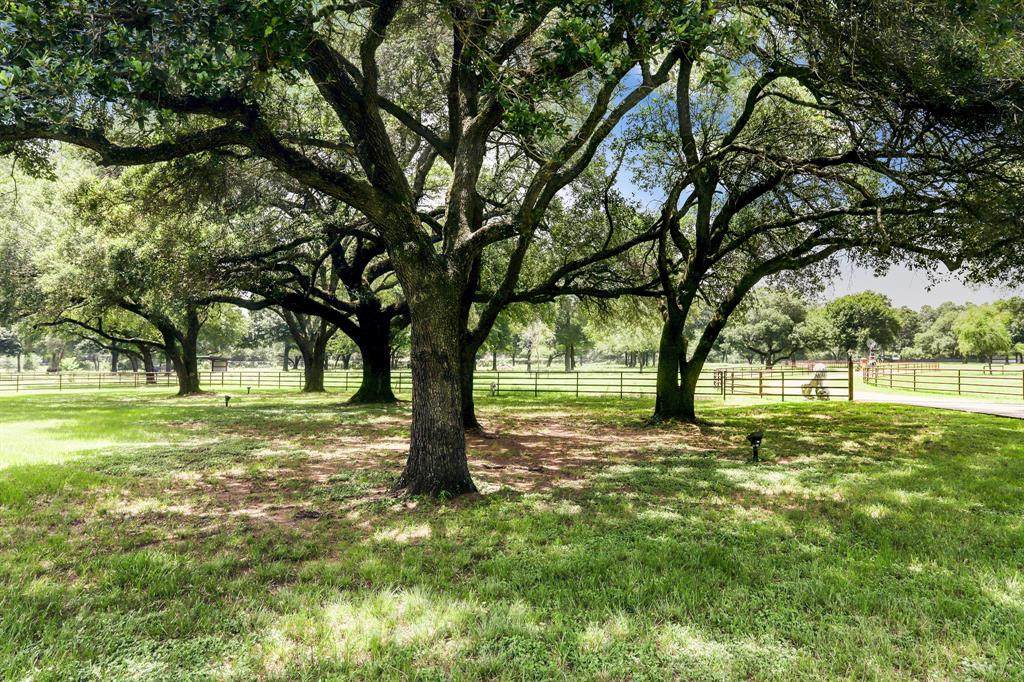 21745 Fm 2920 Road - Photo 1