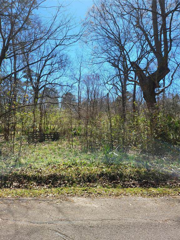 56 Elm Street - Photo 1