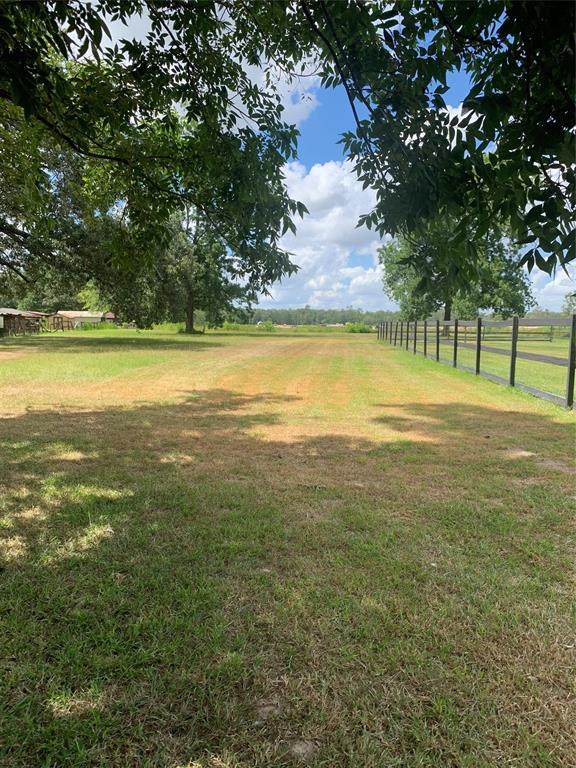 22550 Tree Monkey Road - Photo 1