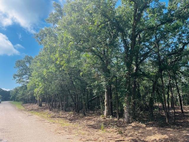 TBD Big Creek Forest Drive - Photo 1