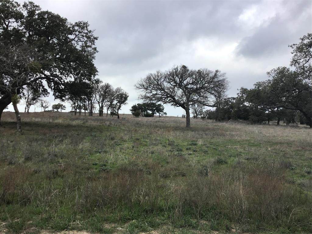 Lot 136 Red Stag Court - Photo 1