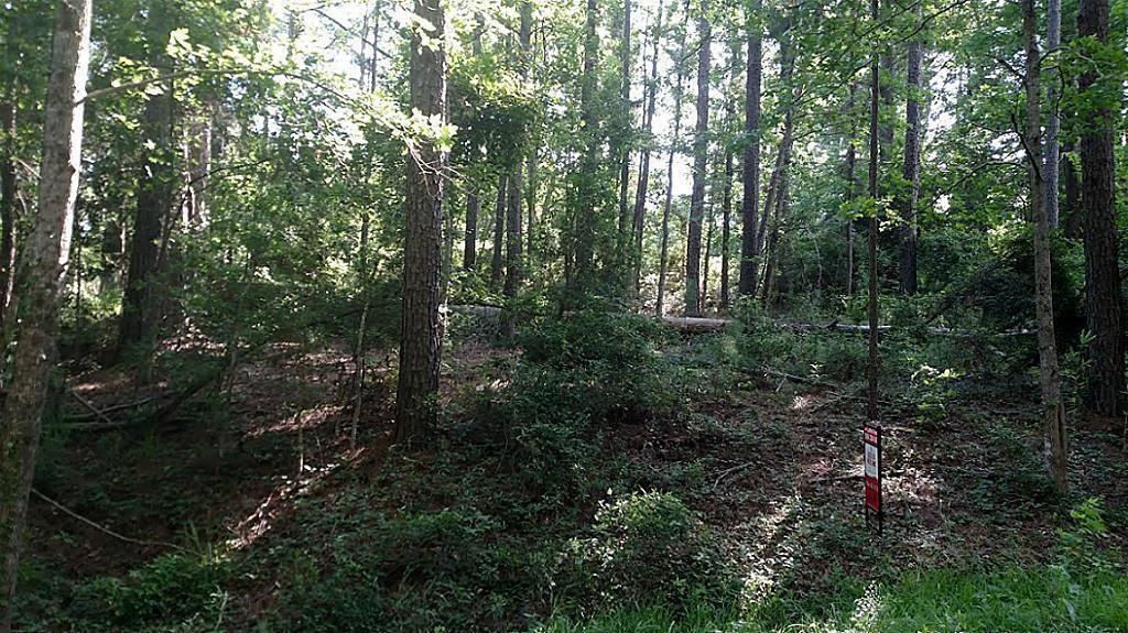 TBD Pine Ridge Dr - Photo 1