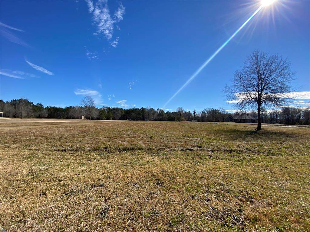 000 Linscomb Road - Photo 1
