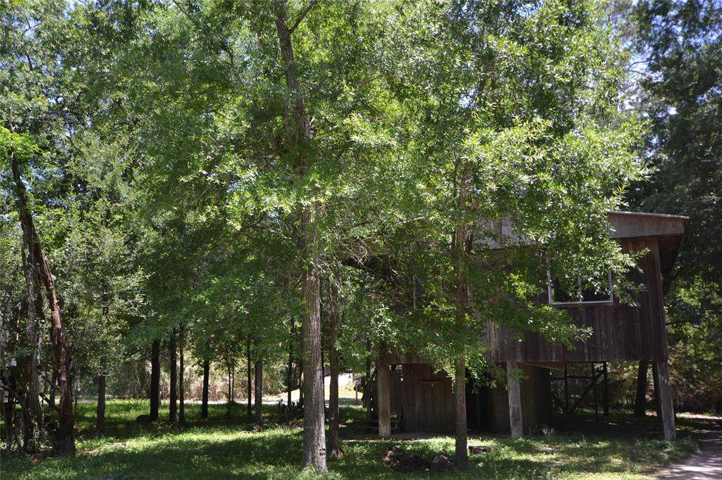 1323 Deepwood Drive - Photo 1