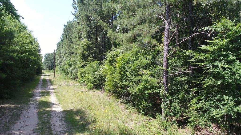 00 Pr 1215 - Photo 1