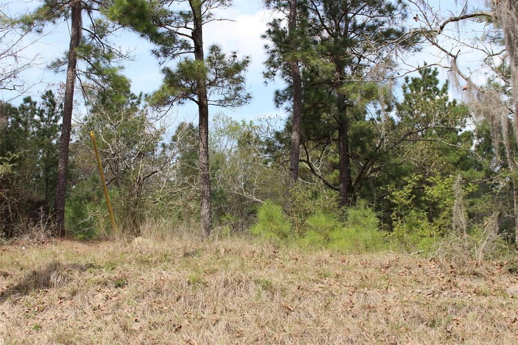 13 Creeklake Drive - Photo 1
