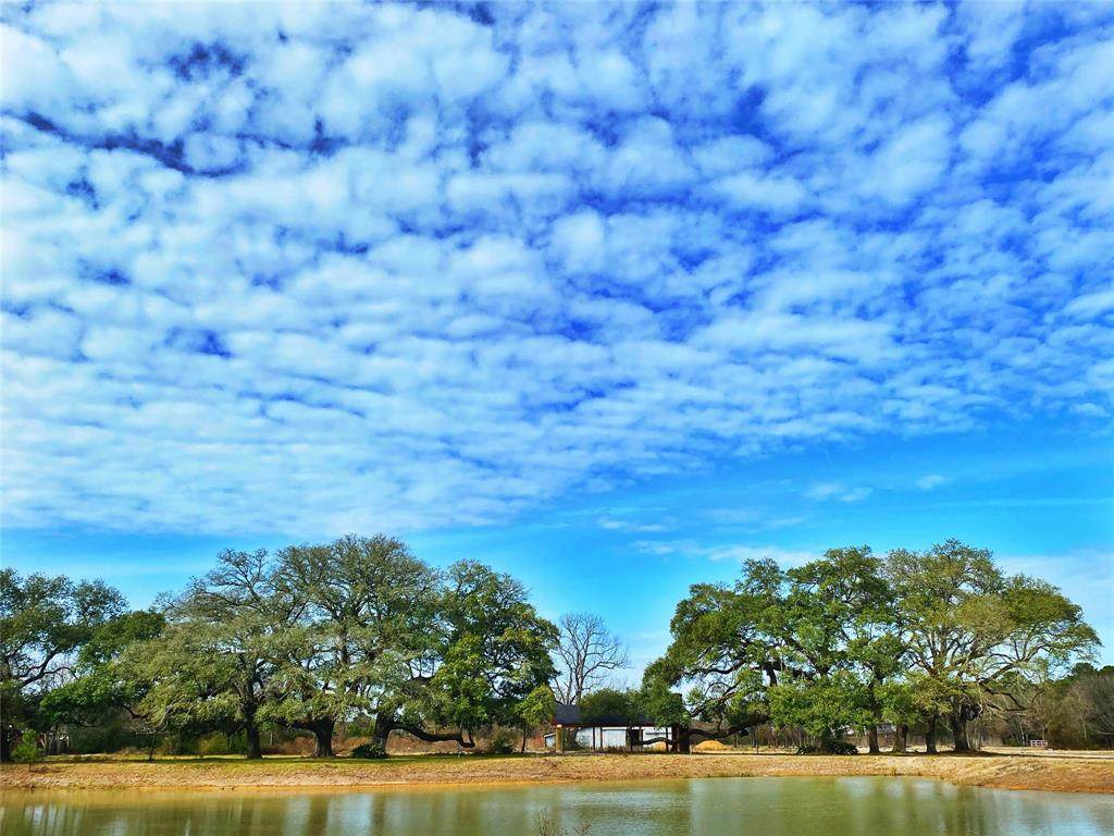 21822 White Oak View Drive - Photo 1