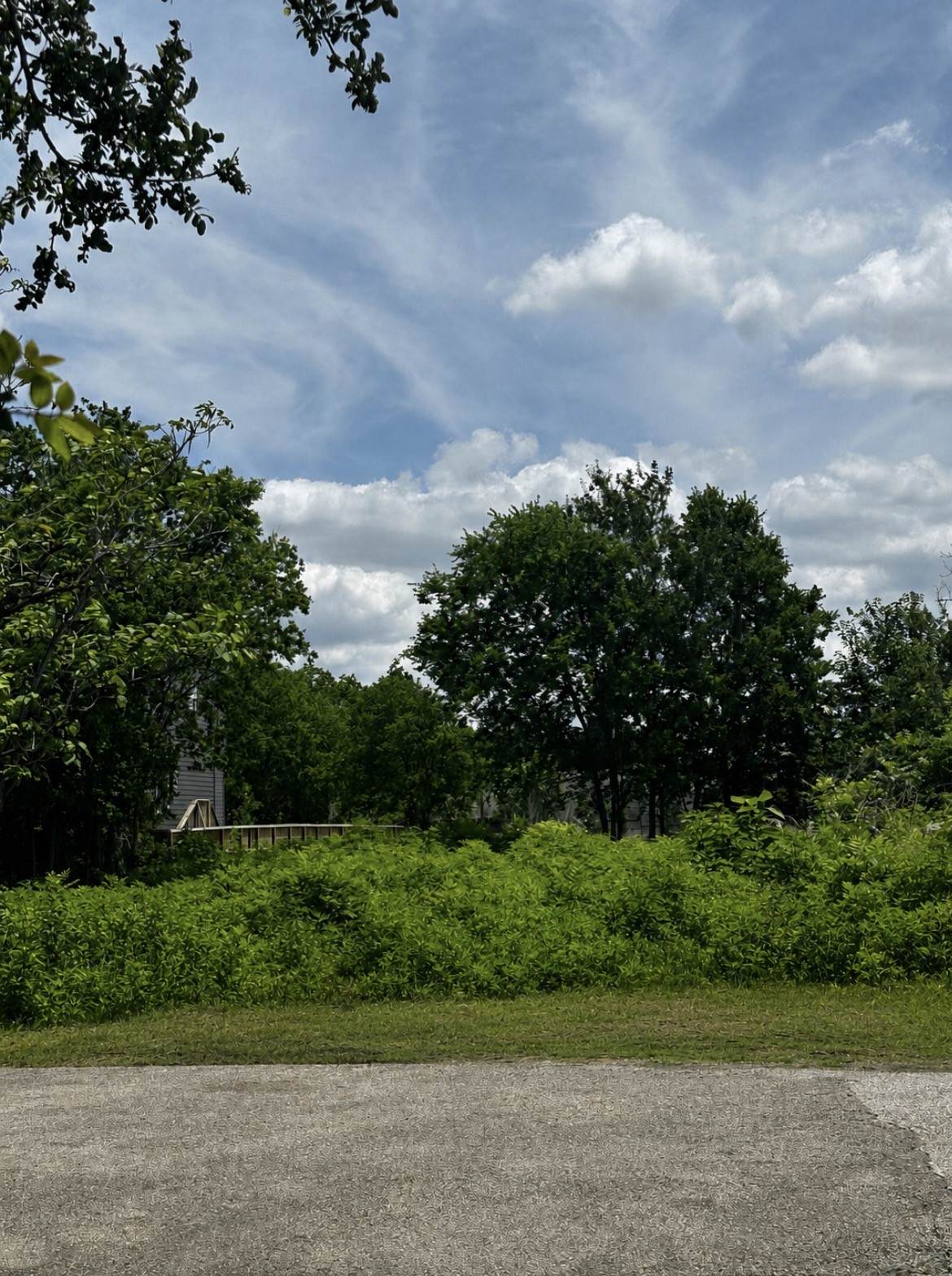 1902 Brewster Street - Photo 1