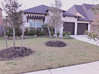 4716 Hickory Branch Lane - Photo 1