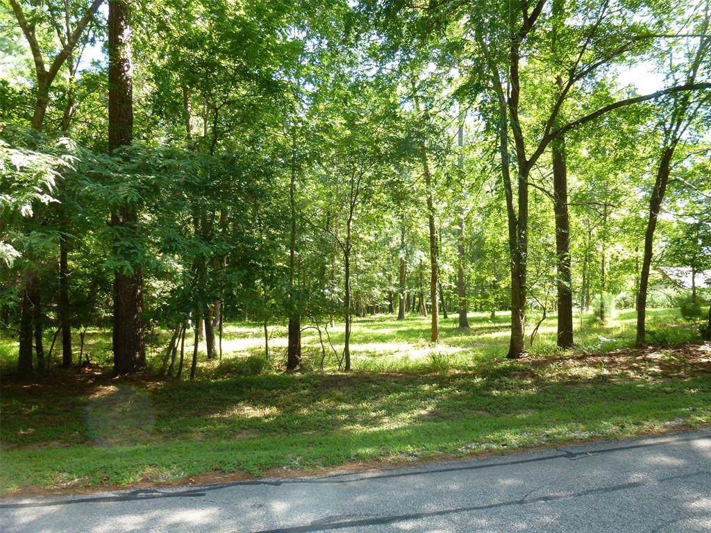 0 Cape Royale Drive - Photo 1