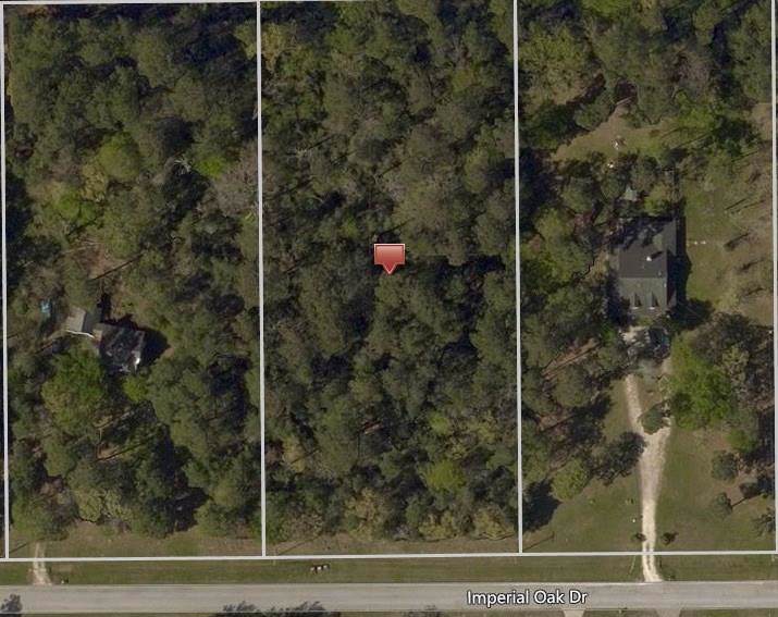 20710 Imperial Oak - Photo 1 20710 Imperial Oak - Photo 1