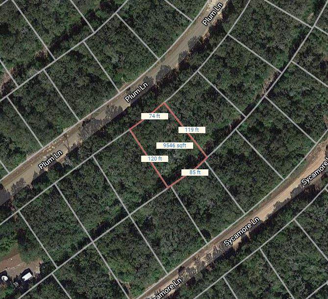 Lot 37 Plum Lane - Photo 1