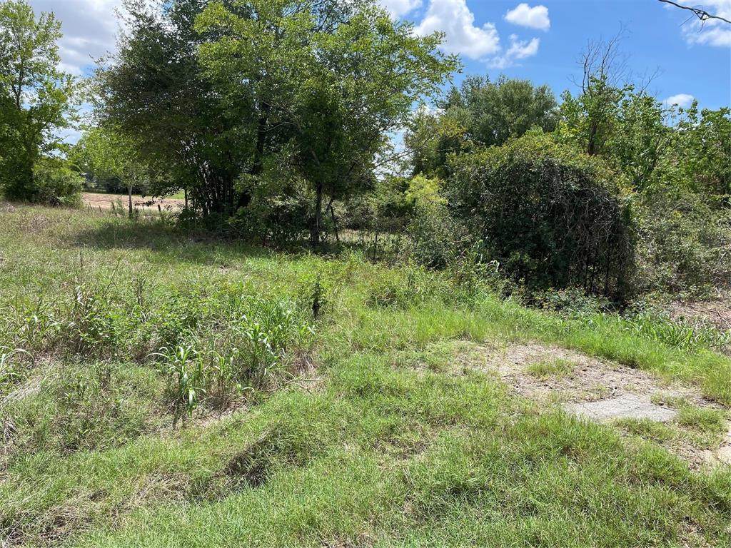 1015 Fm 1489 Road - Photo 1