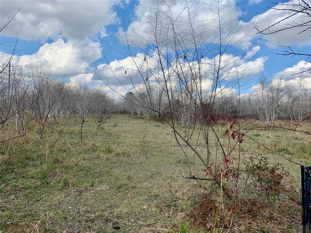 0 Fite County Road 91 - Photo 1