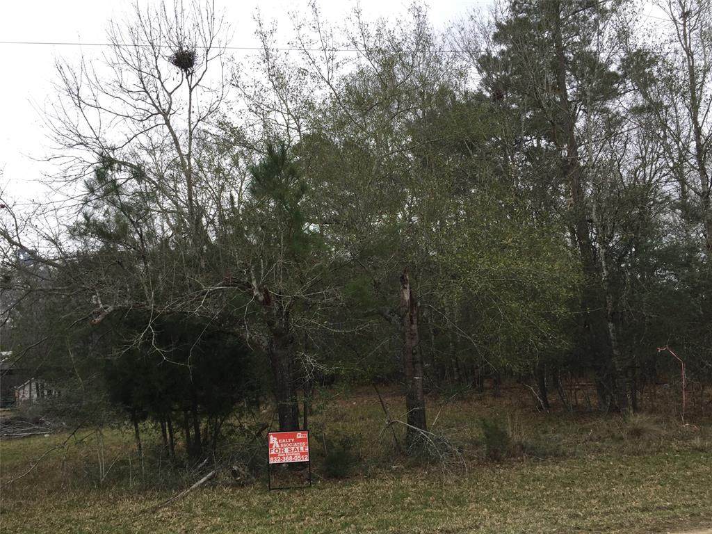 Lot 379 Singletree Drive - Photo 1