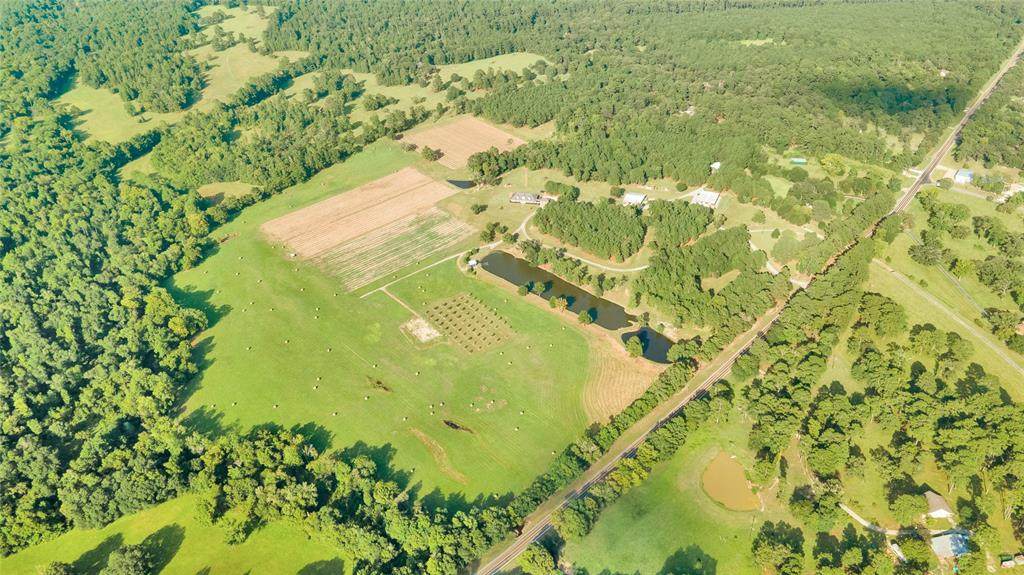 5241 Fm 1374 Road - Photo 1
