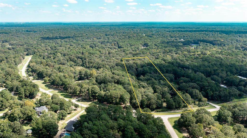 TBD Lago Trace - Photo 1