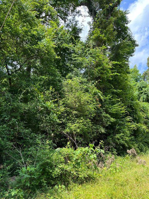000 Winding Creek Road - Photo 1