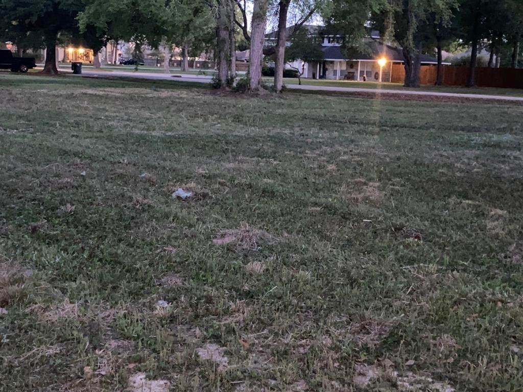 21314 Briar Oak Drive - Photo 1