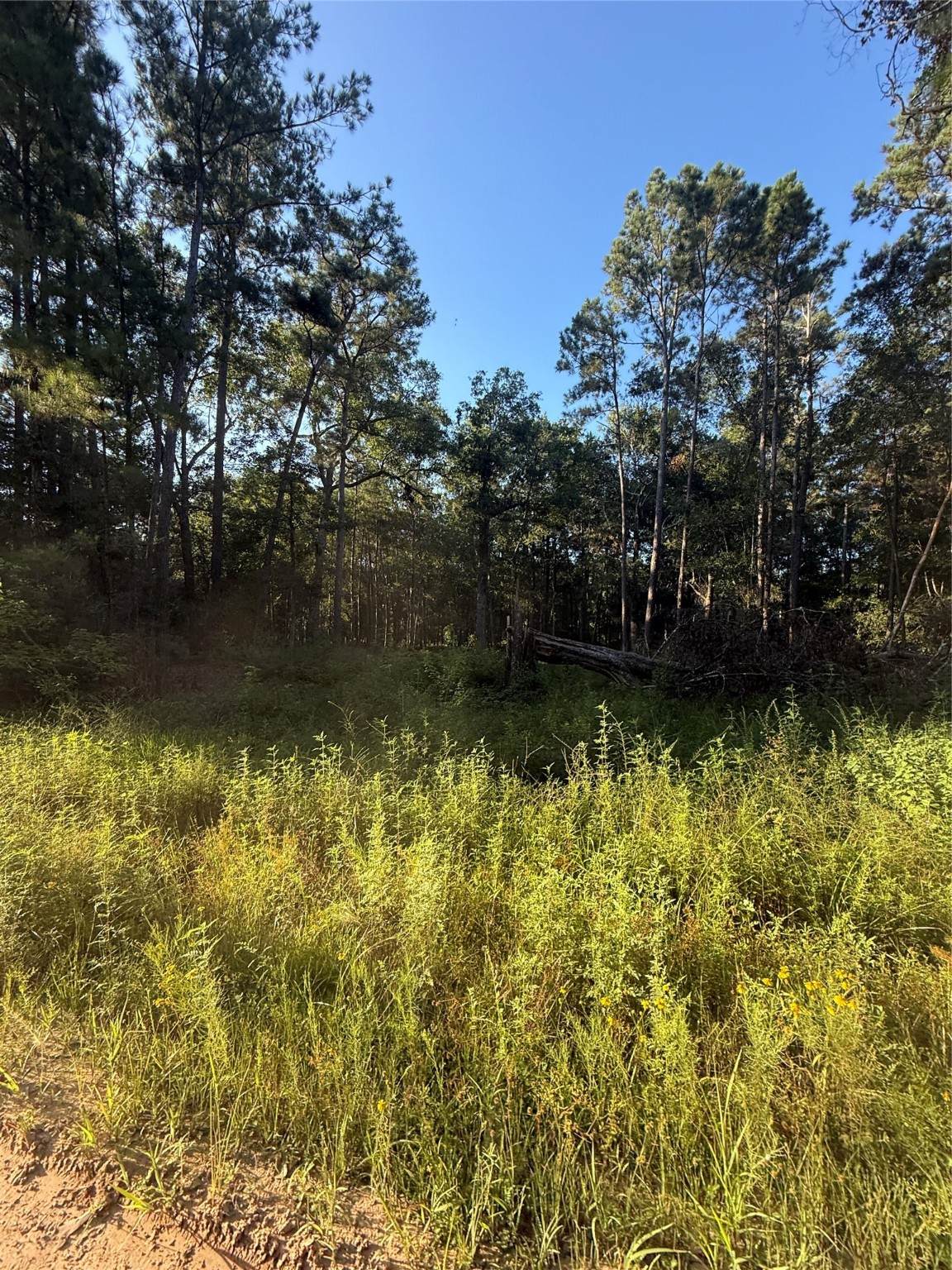 TBD Charlie Pride Drive - Photo 1