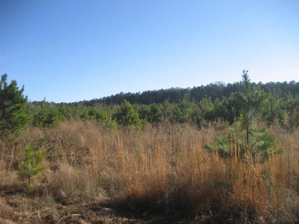 00 State Hwy 21 East - Photo 1