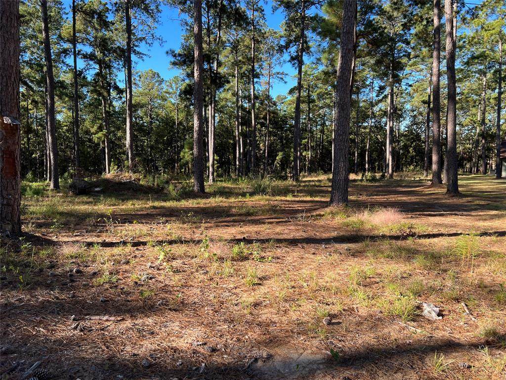 036 Pr 6029 - Photo 1