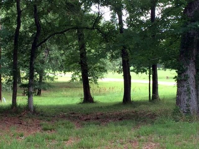 0011 Woodlands Drive - Photo 1