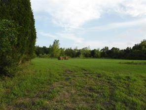 00 Peters San Felipe Road - Photo 1