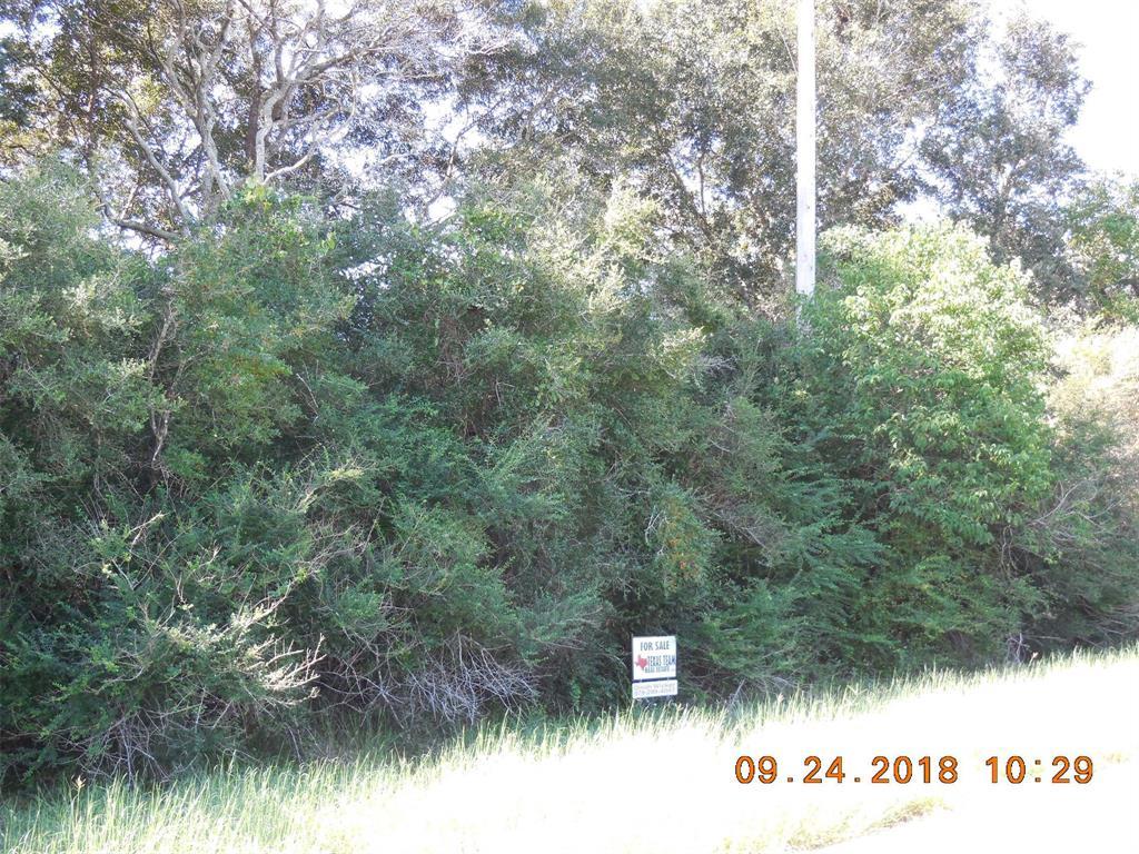 5 County Road 255 - Photo 1