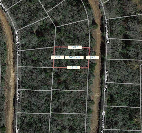 Lot 28 Mushroom Circle - Photo 1