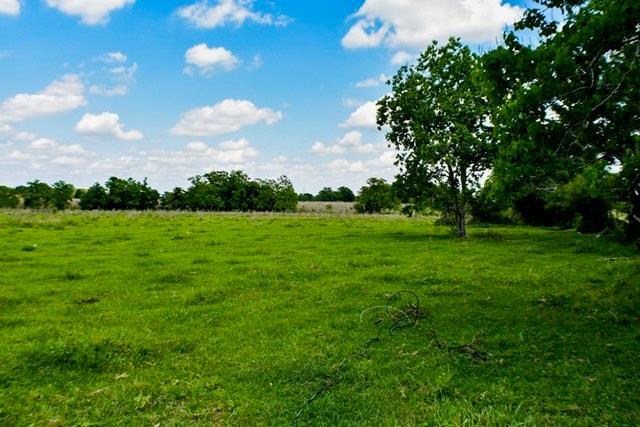 14679 Blinka Road - Photo 1